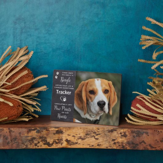 Pootafdrukken in ons hart huisdier hond Beagle her Fotoplaat (Zijkant)