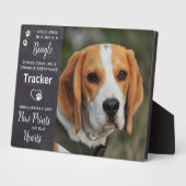 Pootafdrukken in ons hart huisdier hond Beagle her Fotoplaat (Zijkant)