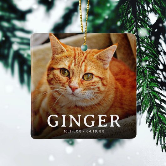 Pootafdrukken op onze harten  Huisdierherdenking K Keramisch Ornament