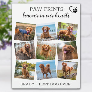 Pootafdrukken voor altijd in onze harten Hond huis Fotoplaat