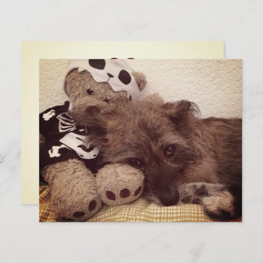 pootdruk op je hart - petverliessenkaart (Voorkant / Achterkant)