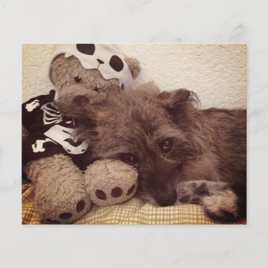 pootdruk op je hart - petverliessenkaart (Voorkant)