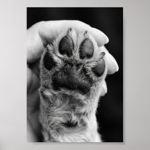 Pootfoto op maat 5 bij 7 foto huisdier aandenken poster