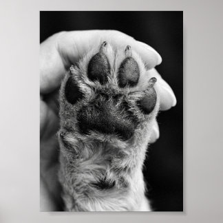 Pootfoto op maat 5 bij 7 foto huisdier aandenken poster