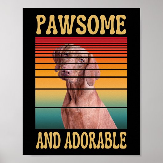 POOTJEMOEK EN AARDIG POSTER (Voorkant)