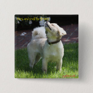 Pootjes, en ruik de bloemen vierkante button 5,1 cm