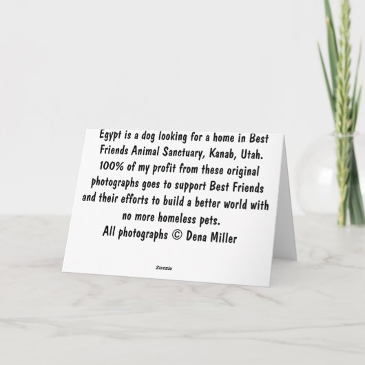 Pootjes voor gedachte: Hond 2 Kaart (Achterkant)