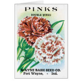  pootpastekunst, Pinks carnenbloemen (Voorkant)