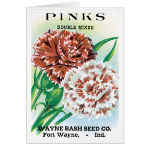  pootpastekunst, Pinks carnenbloemen