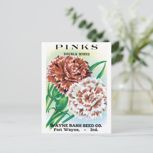  pootpastekunst, Pinks carnenbloemen Briefkaart (Staand voorkant)