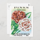 pootpastekunst, Pinks carnenbloemen Briefkaart (Voorkant / Achterkant)