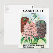  pootpastekunst, tuinbouwers briefkaart (Voorkant / Achterkant)