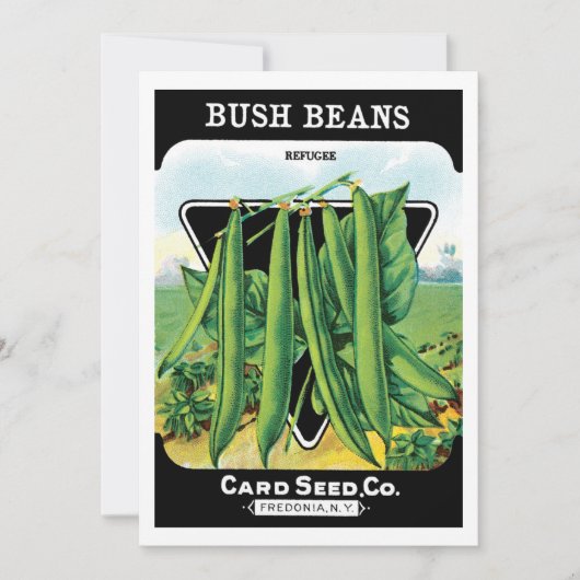 pootverpakkingslabeling kunst, Struik boon Veggie (Voorkant)