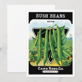 pootverpakkingslabeling kunst, Struik boon Veggie (Voorkant / Achterkant)