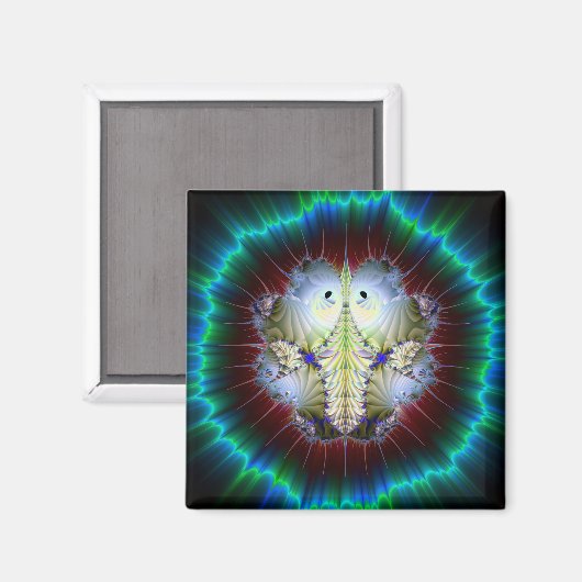 Poovoot Bug Magneet (Voorkant / Achterkant)