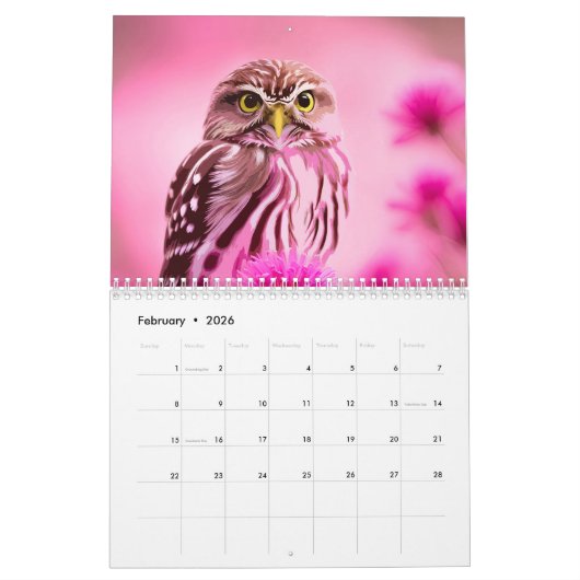 Pop Art Birds Vol. 3 Levendige Cockatiel Hummingbi Kalender (Feb 2026)