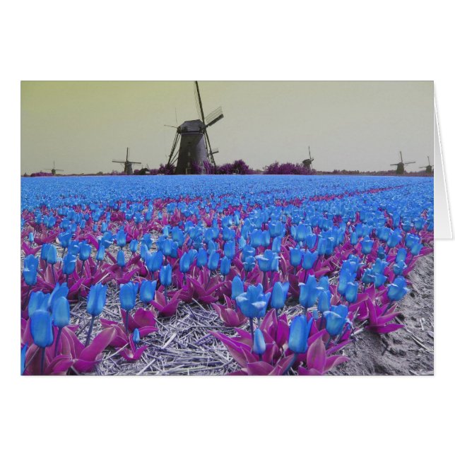 Pop Art Blue Tulips (Voorkant Horizontaal)