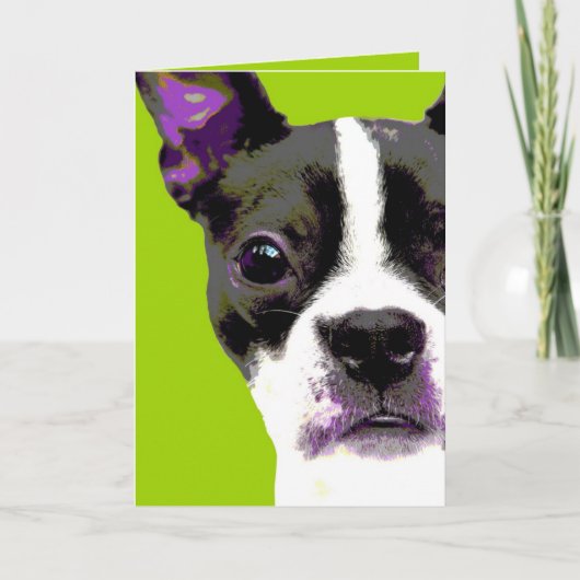 Pop-art Boston Terrier Kaart (Voorkant)