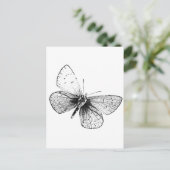 Pop Art Butterfly Briefkaart (Staand voorkant)