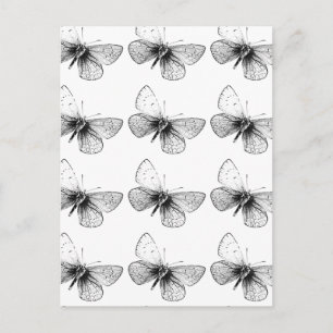 Pop Art Butterfly Briefkaart