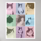 Pop Art Cat 9 Foto Modern Retro Kleurenblok Poster (Voorkant)