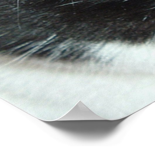 Pop Art Cat Poster (Hoek)