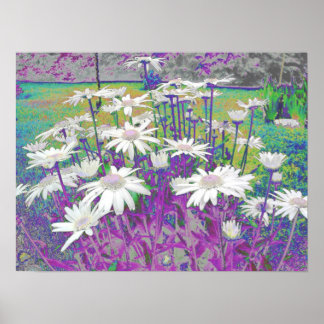 Pop Art Daisies Poster