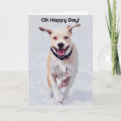 Pop Art Dog Happy Hondenliefhebber Verjaardag Kaar Kaart (Voorkant)