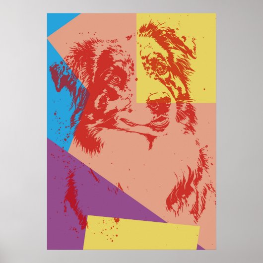 Pop Art Effect Australian Shepherd / Hondenliefheb Poster (Voorkant)