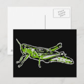 Pop Art Green Grasshopper Briefkaart (Voorkant / Achterkant)