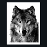 Pop Art Grey Wolf Face Poster Print<br><div class="desc">Wild Animal Digital Artworks,  Paintings,  Pictures and Images</div>