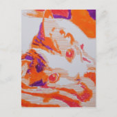 Pop Art katze Briefkaart (Voorkant)
