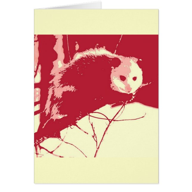 Pop Art Opossum (Voorkant)