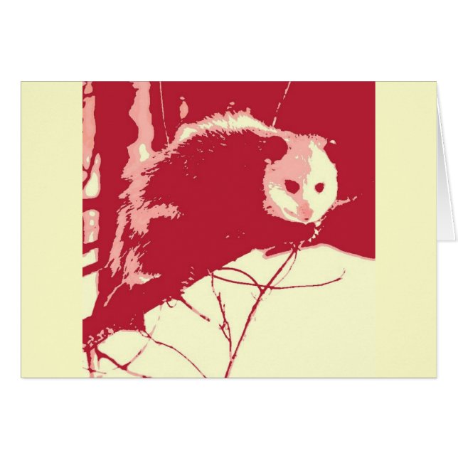 Pop Art Opossum (Voorkant Horizontaal)