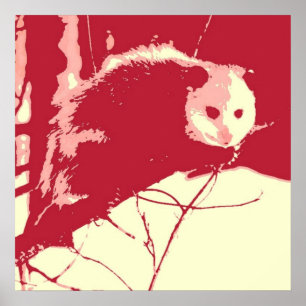 Pop Art Opossum Poster