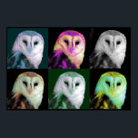 Pop Art Owl Poster<br><div class="desc">Geweldig uitziende poster afdrukken in een pop-stijl,  met een schuurtje in zes verschillende kleuren. Stijlvol poster en geweldig voor elke vogelliefhebber.</div>