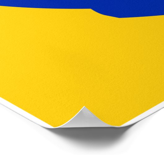 Pop Art Vinyl Record 45 RPM Audiophile Poster (Hoek)