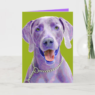 Pop-art Weimaraner Kaart