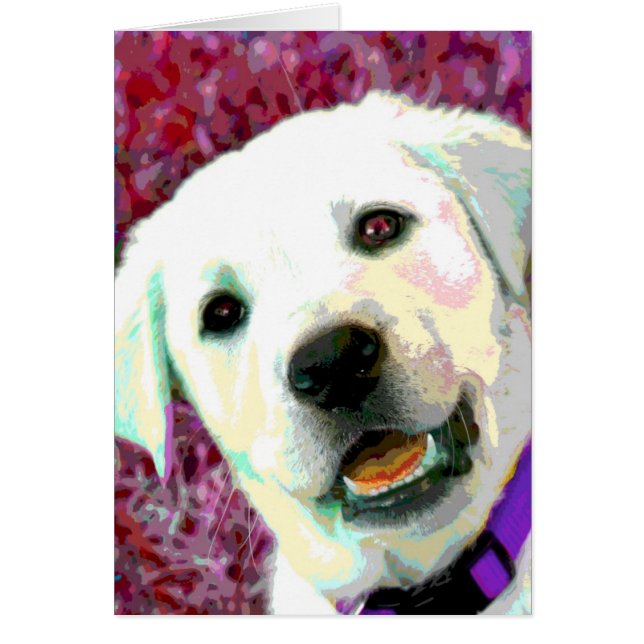 Pop ART Yellow Lab puppy (Voorkant)