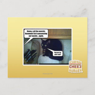 Pop begint voor je ziel? briefkaart