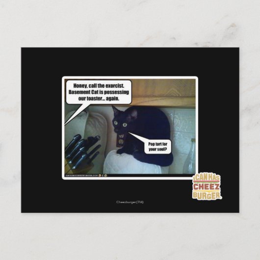 Pop begint voor je ziel? briefkaart (Voorkant)