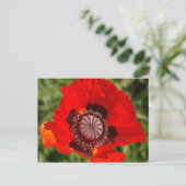 pop briefkaart (Staand voorkant)