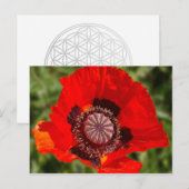 pop briefkaart (Voorkant / Achterkant)