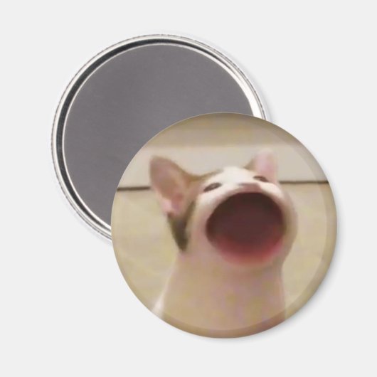 Pop Cat Magnet (Voorkant / Achterkant)