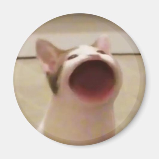 Pop Cat Magnet (Voorkant)