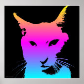 Pop Cat Poster (Voorkant)