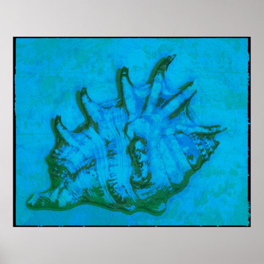 Pop Conch Poster (Voorkant)