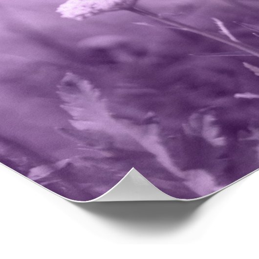 pop-i paarse afdruk poster (Hoek)