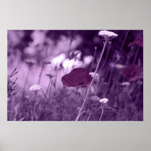 pop-i paarse afdruk poster