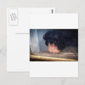  pop in venster met haarklop briefkaart (Voorkant / Achterkant)